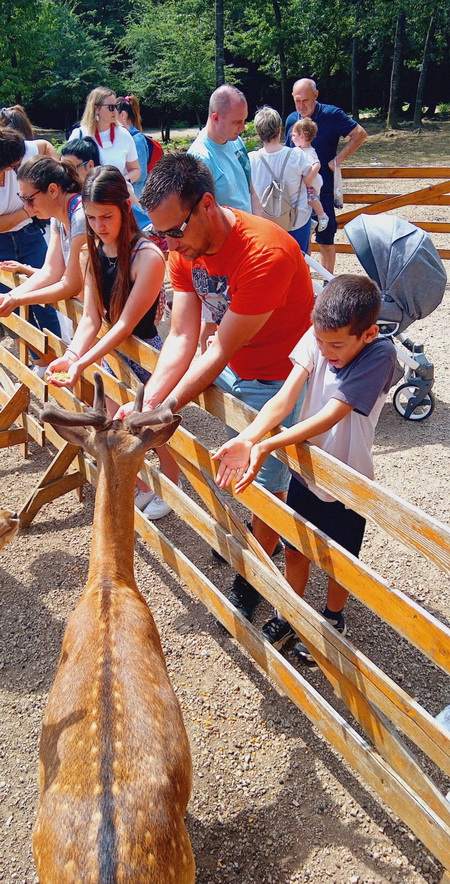 IZLET RODITELJA, ODGOJITELJA I DJECE 08.06.2024. RANCH DOLINA JELENA