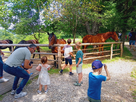 IZLET RODITELJA, ODGOJITELJA I DJECE 08.06.2024. RANCH DOLINA JELENA