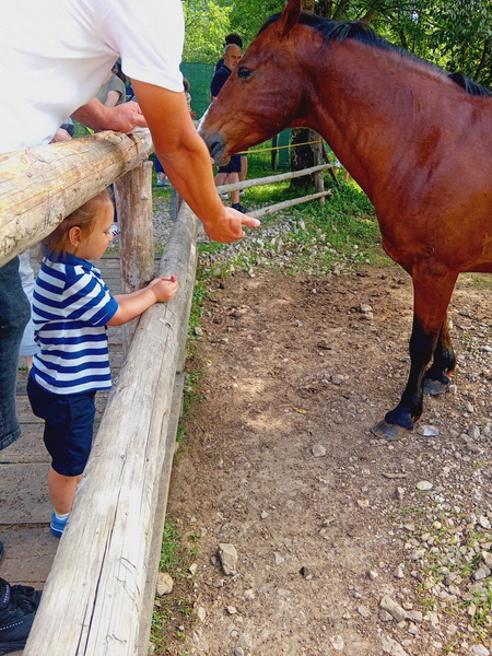 IZLET RODITELJA, ODGOJITELJA I DJECE 08.06.2024. RANCH DOLINA JELENA