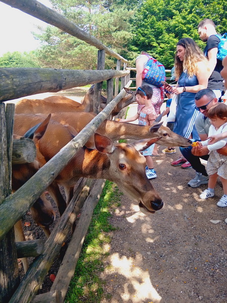 IZLET RODITELJA, ODGOJITELJA I DJECE 08.06.2024. RANCH DOLINA JELENA